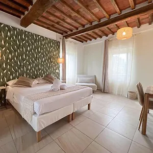 New! -verderame & In Guest house Lucca